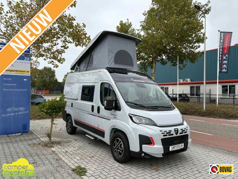 Dreamer D43 Select Edition UP 20 YEARS (Rapido)